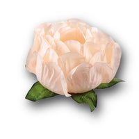 Thumbnail for Bella Flower Truffle Wrapper Pale Peach (30 Pack)