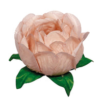 Thumbnail for Bella Flower Truffle Wrapper - Blush Nude (30 Pack)