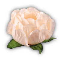Thumbnail for Bella Flower Truffle Wrapper Pale Peach (30 Pack)