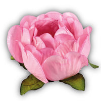 Thumbnail for Envoltorio para trufa Bella Flor - Rosa Chicle (paquete de 30)