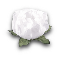 Thumbnail for Bella Flower Truffle Wrapper White (30 Pack)