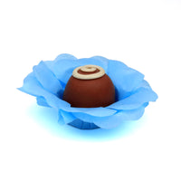 Thumbnail for Baby Blue Silky Flower - 50 pack