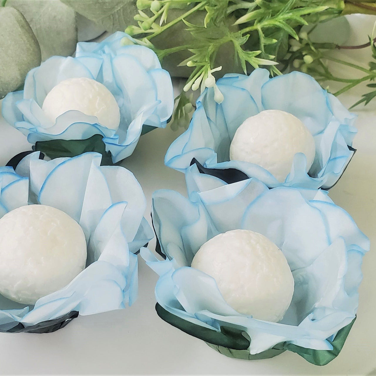 Baby Blue Margarida with Sepals Flower - 50 pack