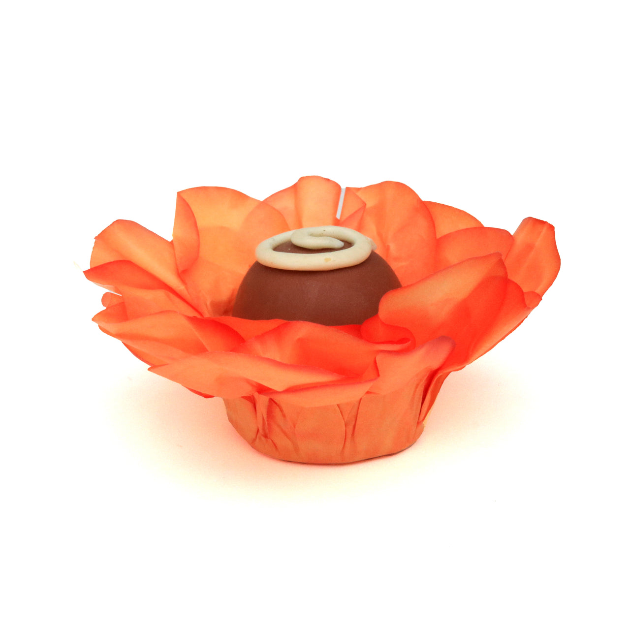 Bright Orange Margarida Simple Flower - 50 pack
