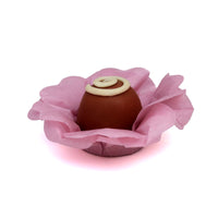 Thumbnail for Rose Silky Flower - 50 pack