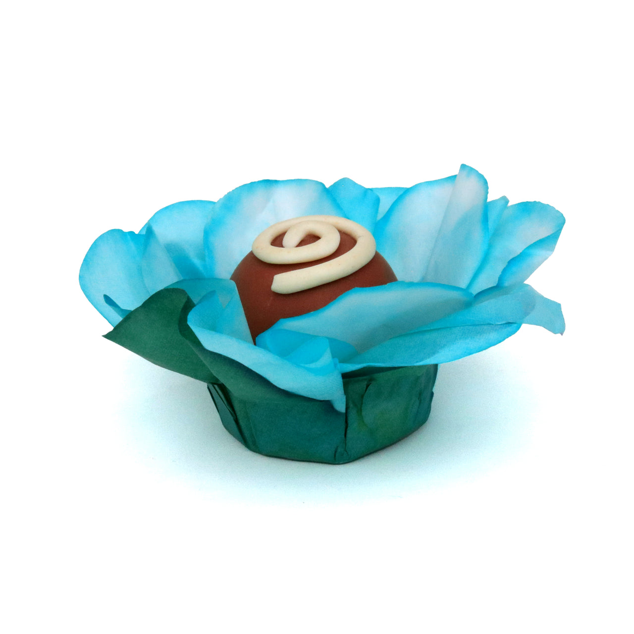 Tiffany Blue Margarida with Sepals Flower - 50 pack