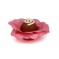 Thumbnail for Vintage Rose Silky Flower - 50 pack