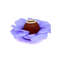 Thumbnail for Violet Silky Flower - 50 pack